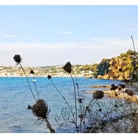 Case D'Anna Castellammare del Golfo Εξωτερικό φωτογραφία