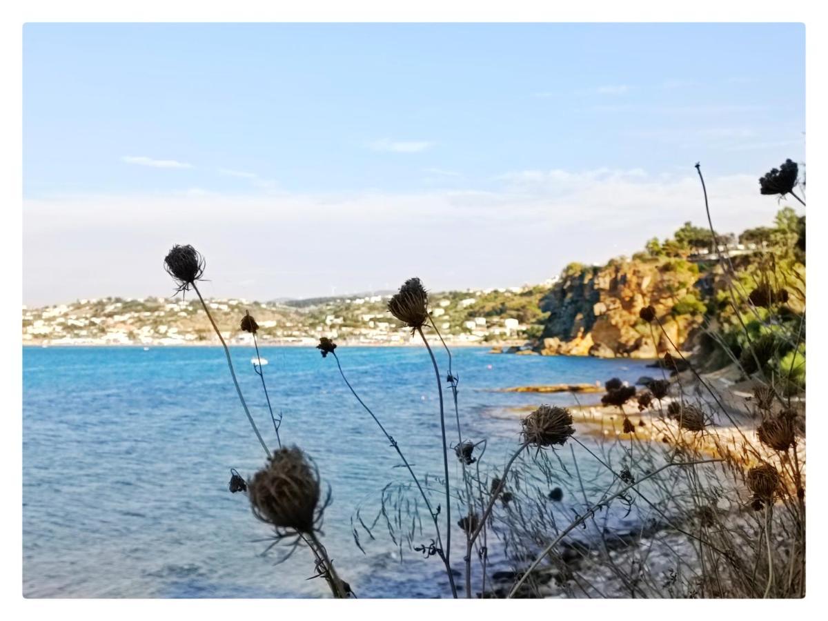 Case D'Anna Castellammare del Golfo Εξωτερικό φωτογραφία