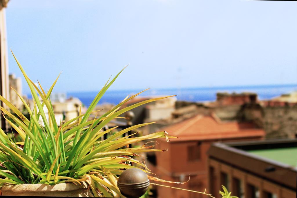 Case D'Anna Castellammare del Golfo Εξωτερικό φωτογραφία